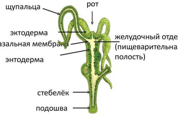 Ссылка на кракен в тор браузере